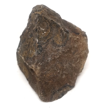 Stromatolit